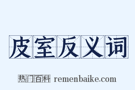 皮室反义词是什么意思的图片